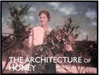 The Architecture of Honey
